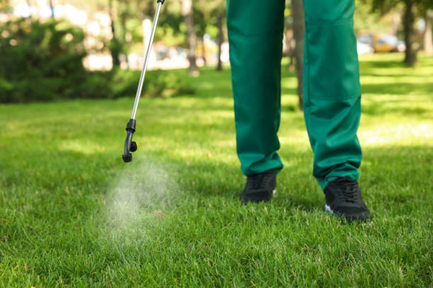 Best Pest Control Near Me in Hiawatha, KS