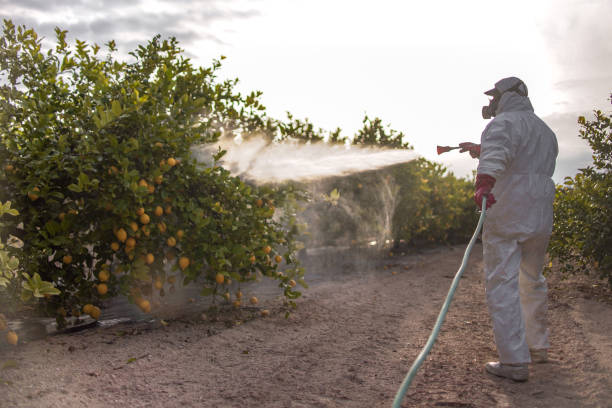 Best Ant Control Services  in Hiawatha, KS