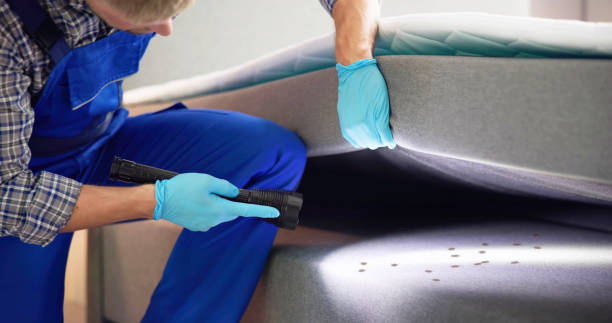Best Ant Control Services  in Hiawatha, KS