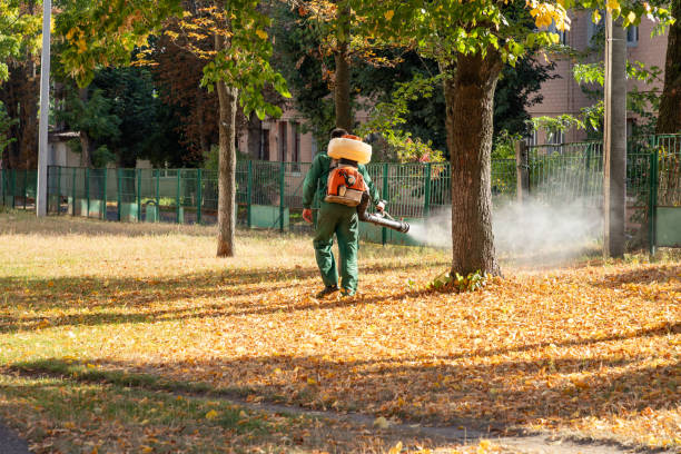  Hiawatha, KS Pest Control Pros
