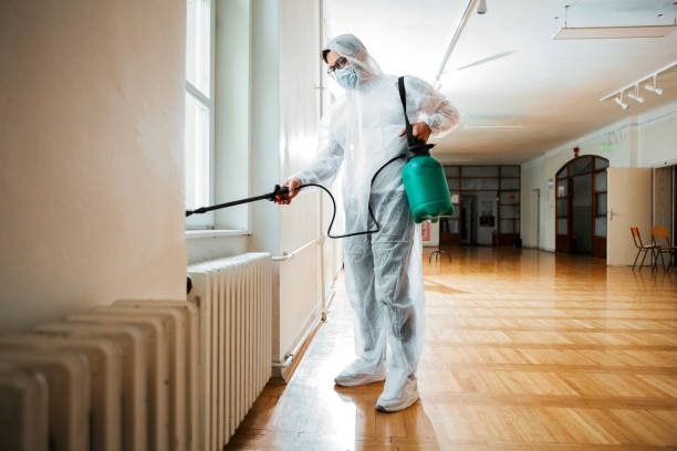 Best Flea Control Services  in Hiawatha, KS