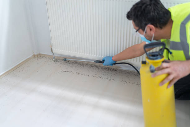 Best Bed Bug Extermination  in Hiawatha, KS