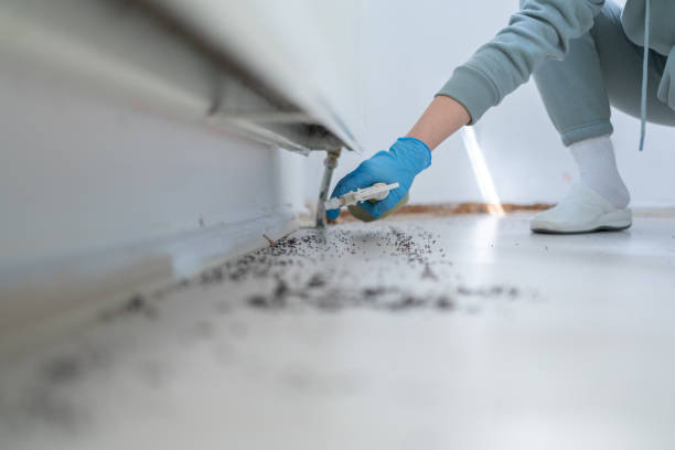 Best Pest Control Near Me  in Hiawatha, KS