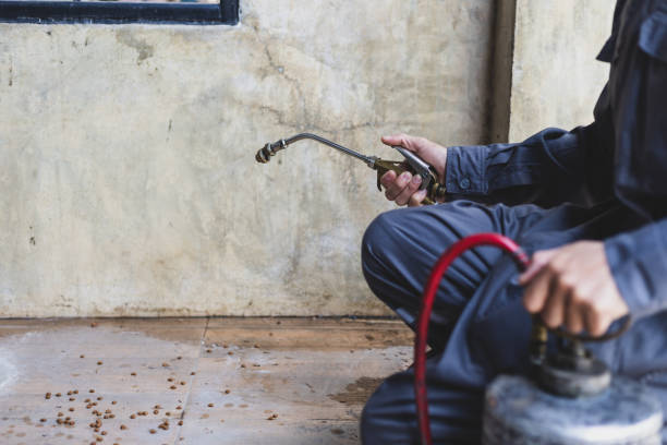 Pest Control Cost in Hiawatha, KS