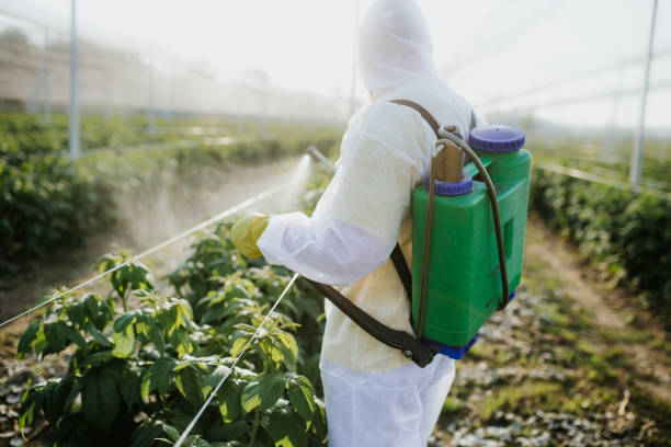 Professional Pest Control in Hiawatha, KS